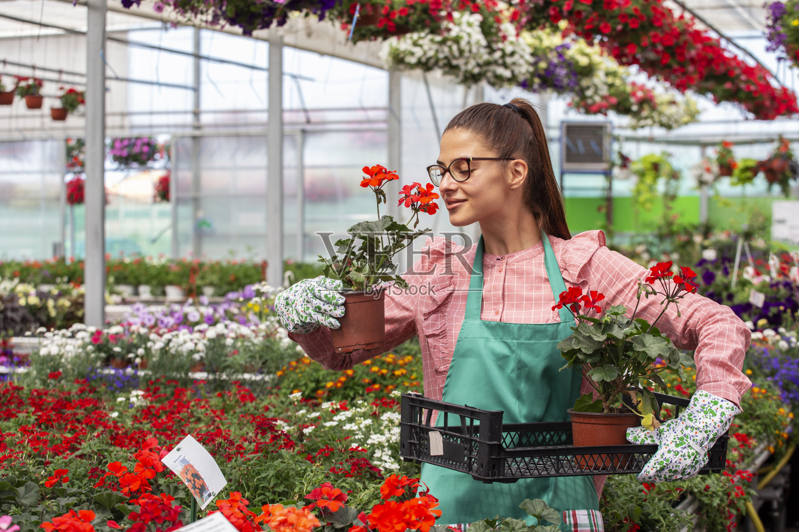 在苗圃中种植花卉的妇女照片摄影图片