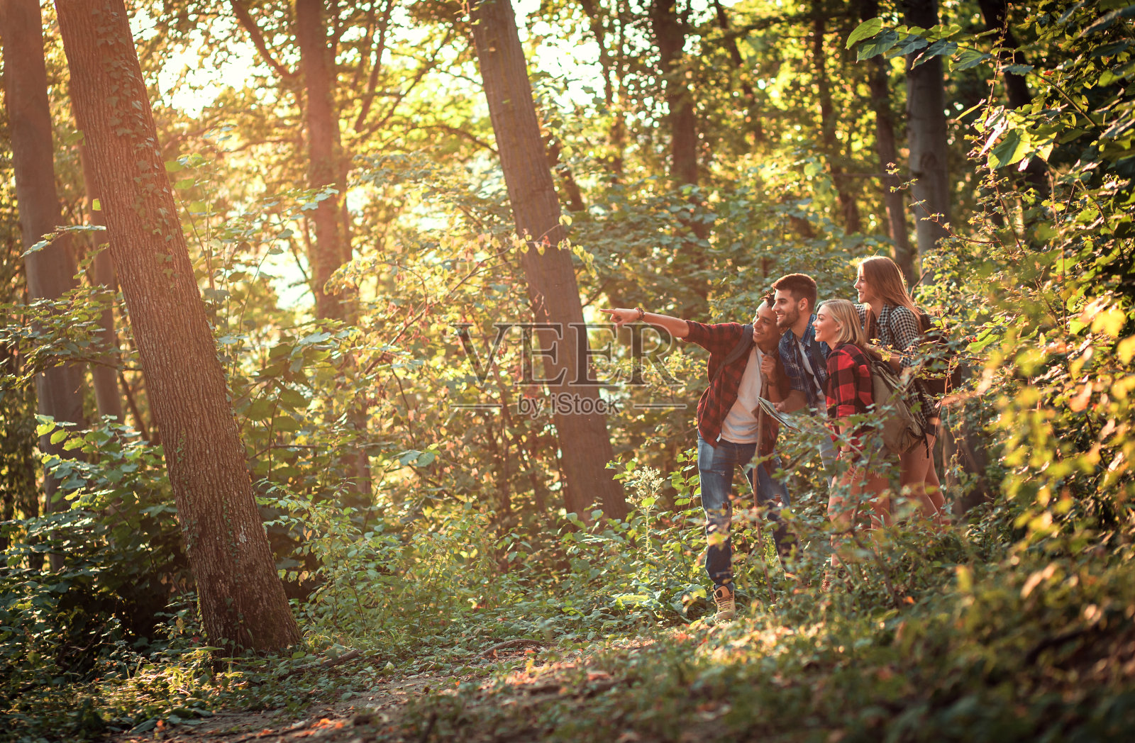 一组四个朋友一起徒步穿越森林。照片摄影图片