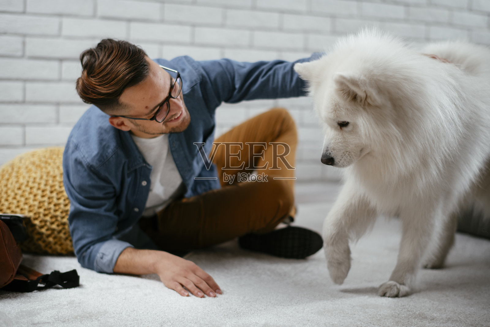 一个人和他的狗玩。照片摄影图片