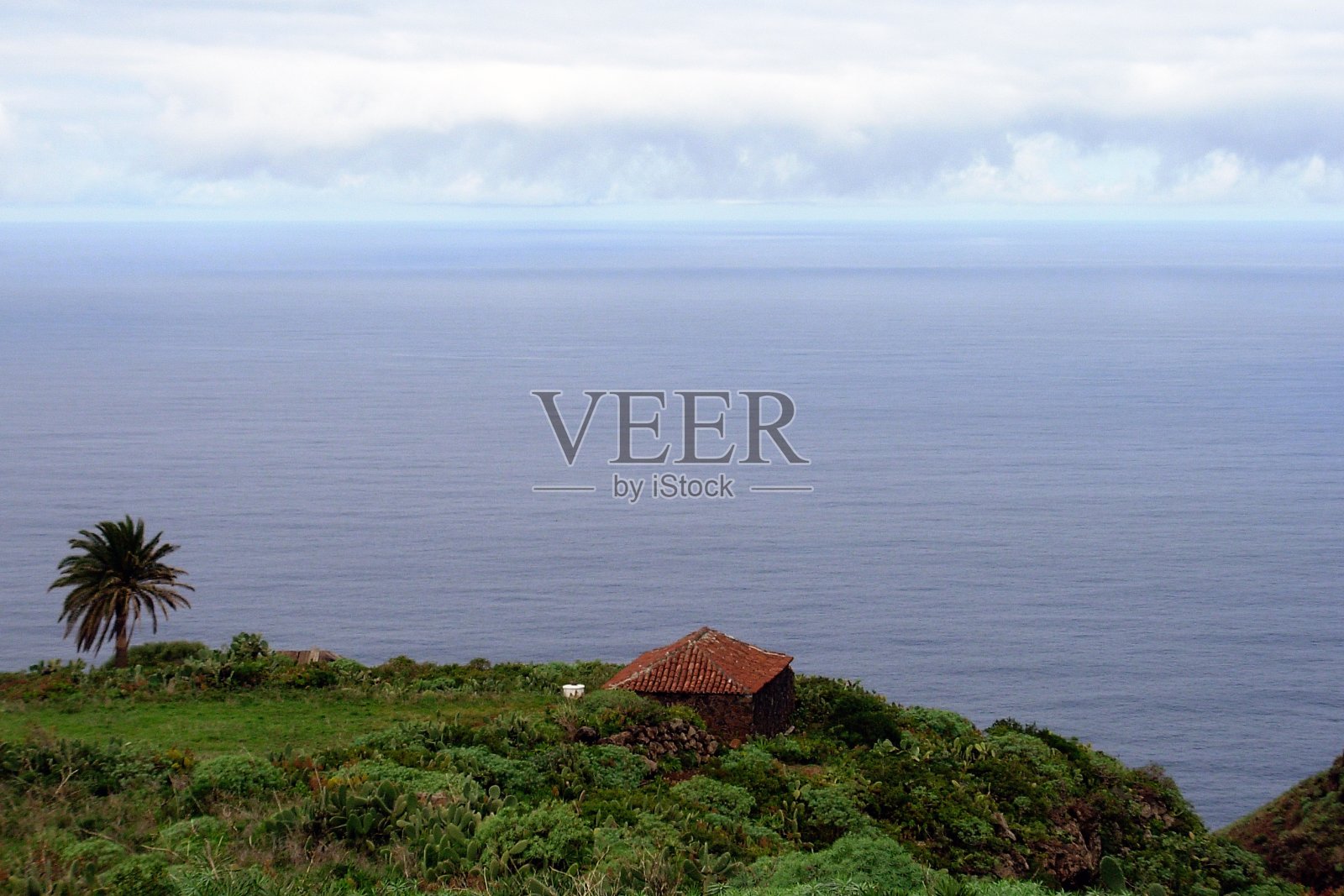 加拉菲亚照片摄影图片