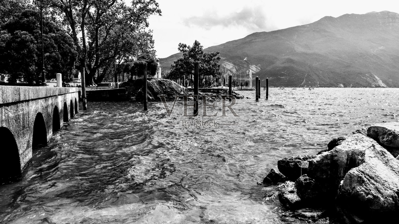 黑色和白色照片摄影图片