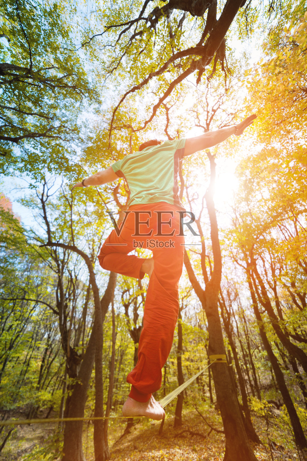 广角男走钢丝者平衡赤脚在松驰线在秋天的森林。老年人户外运动和积极生活的概念照片摄影图片