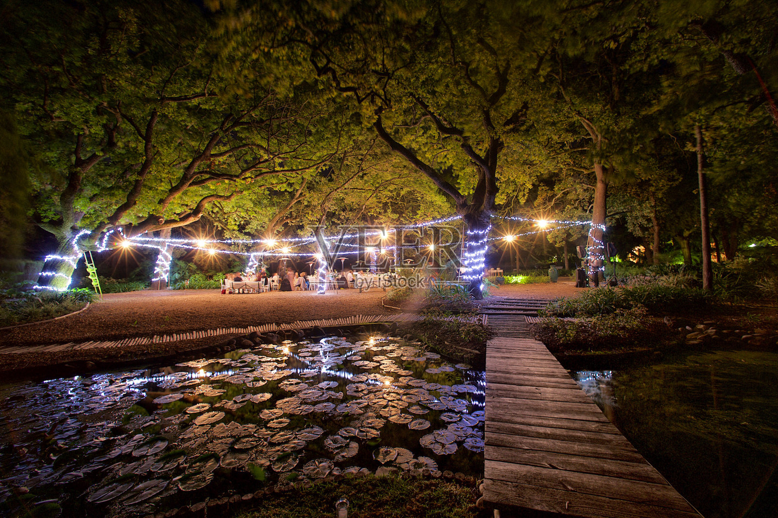 橡树林中的夜间户外派对场景照片摄影图片