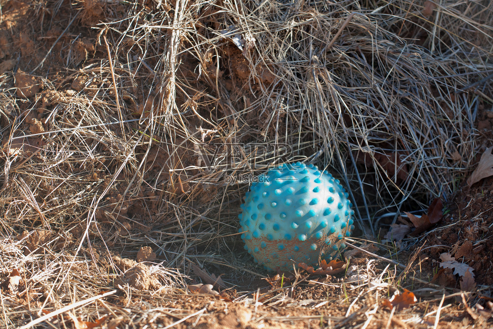 橡皮球照片摄影图片
