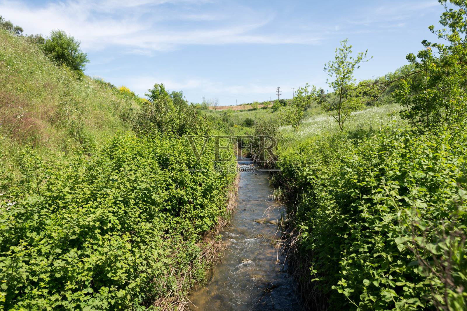 以色列北部阿云河自然保护区照片摄影图片
