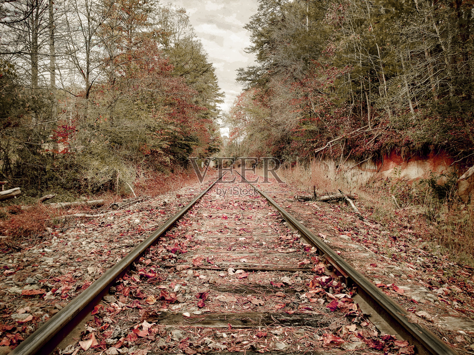 铁路轨道-秋叶照片摄影图片