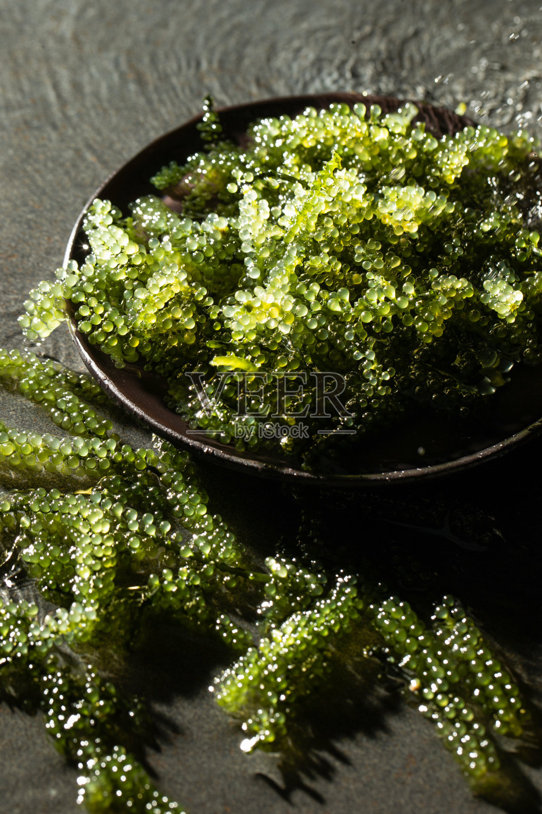 碗里的植物特写镜头照片摄影图片