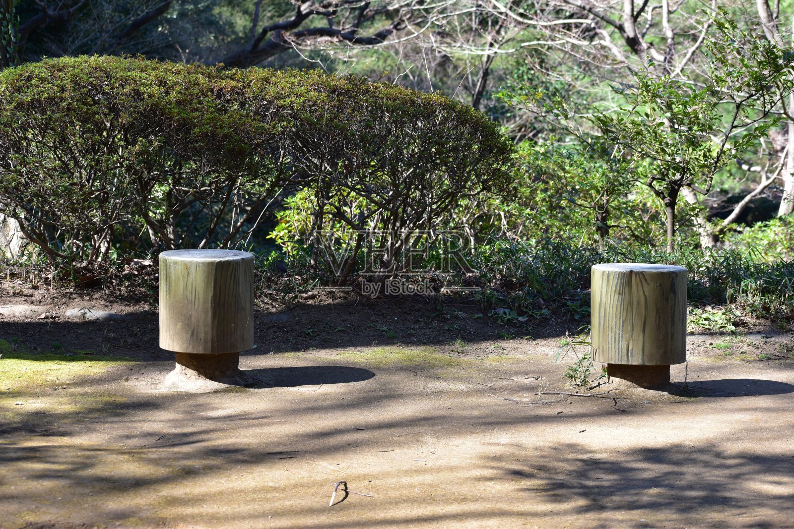 自然的观点照片摄影图片