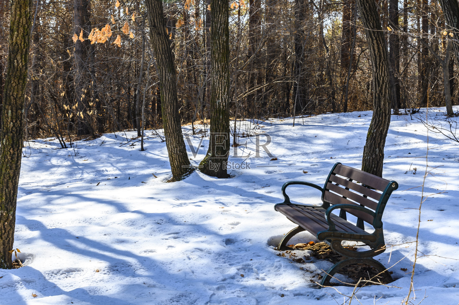 净月潭国家森林公园位于中国长春市的冬季照片摄影图片