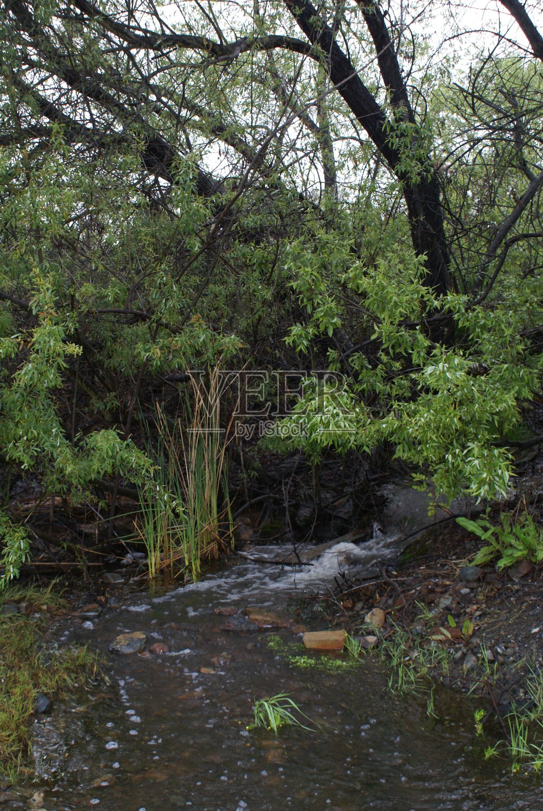 流水照片摄影图片
