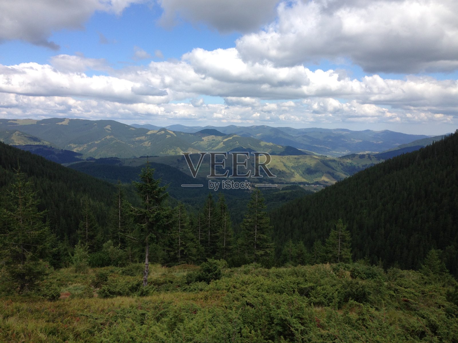 山顶映衬着多云的天空，遥望远方。夏天，喀尔巴阡的山景。大自然中的丘陵和山脉照片摄影图片