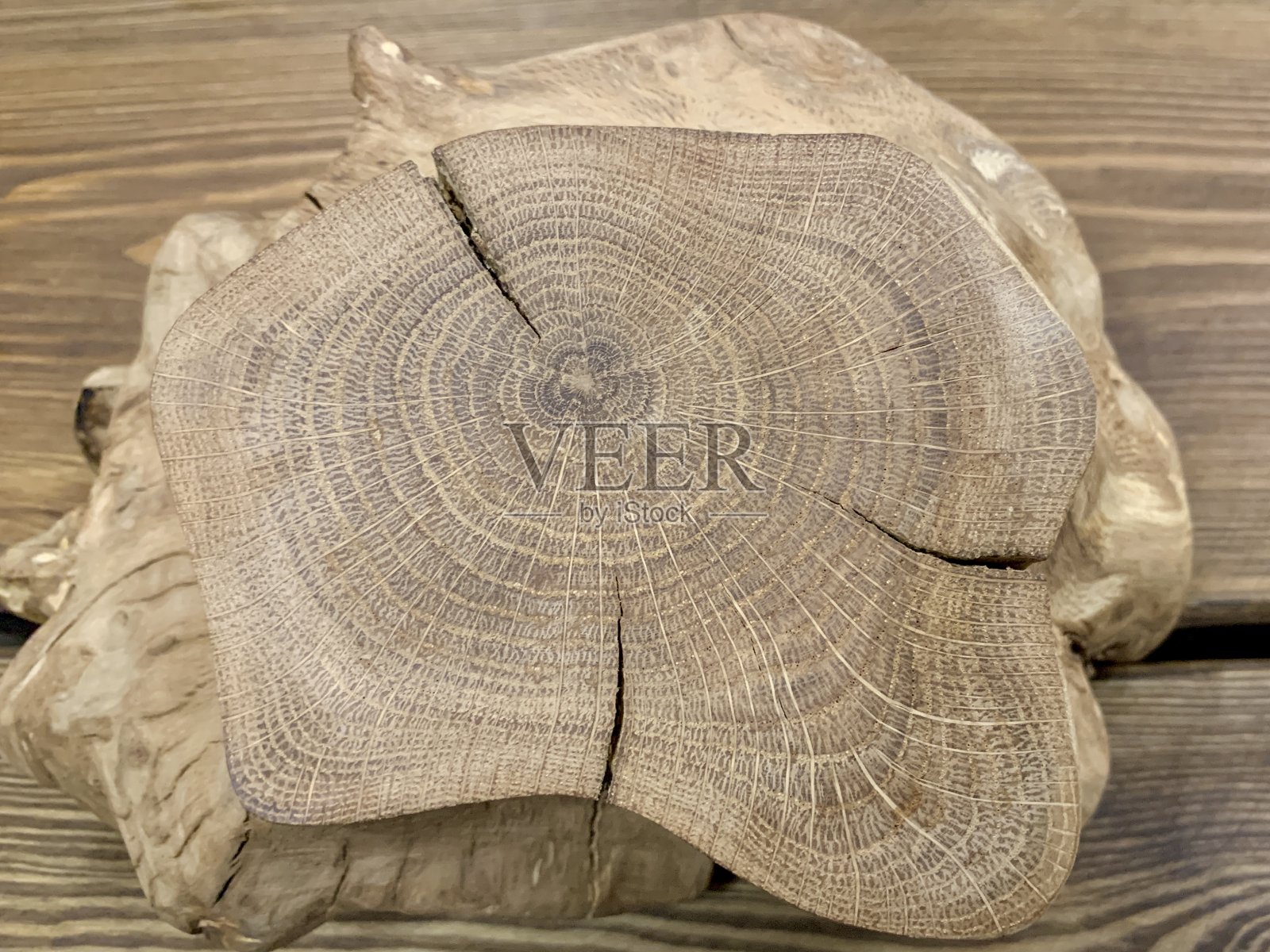 背景纹理:橡木的一部分。砍掉树干的结构。有裂缝的锯橡树，生命的轮回。照片摄影图片