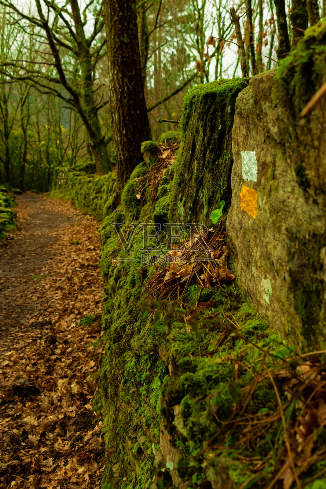 通往阿瓜卡伊达瀑布的山路照片摄影图片