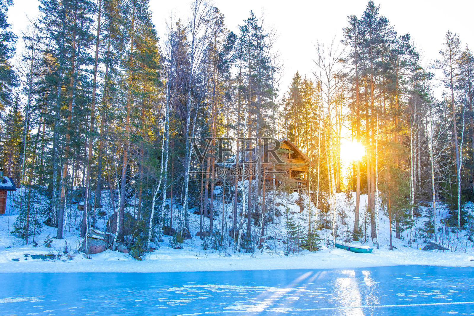 冬天早晨的森林照片摄影图片