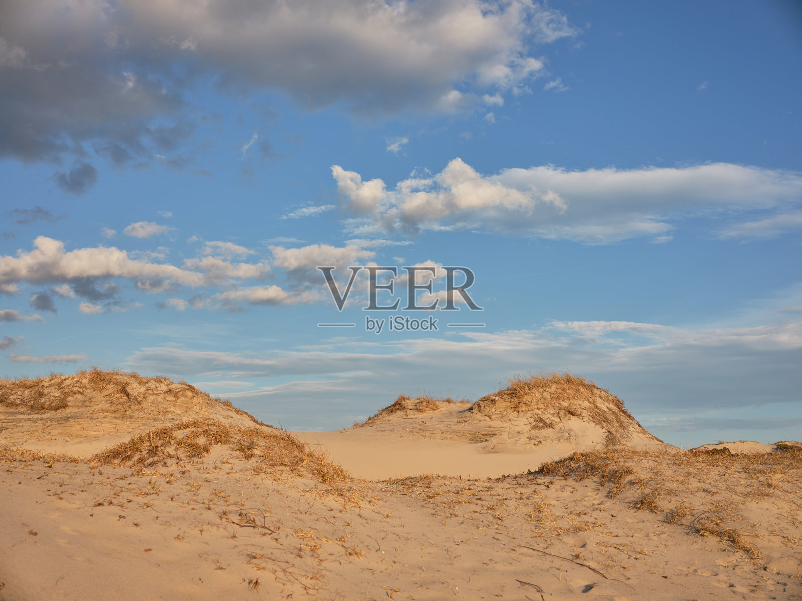 水平图像新泽西州的岛屿海滩州立公园和受保护和濒危的沙丘在傍晚的光在一个空的海滩照片摄影图片