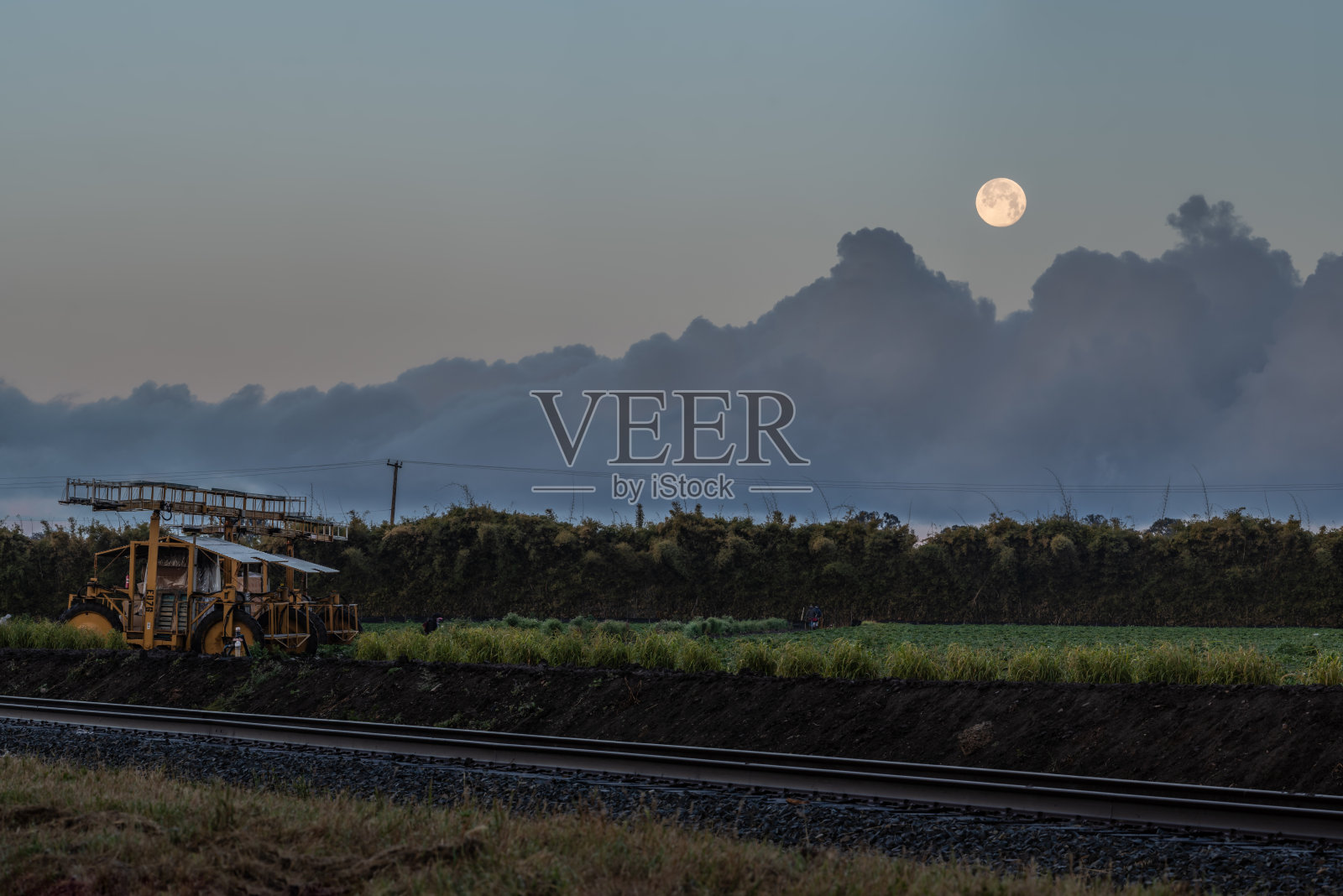 满月领着田野工人出来。照片摄影图片