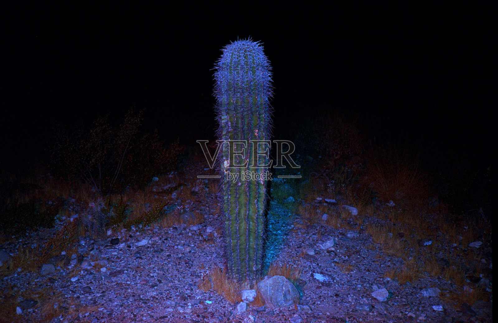 美国景观照片摄影图片