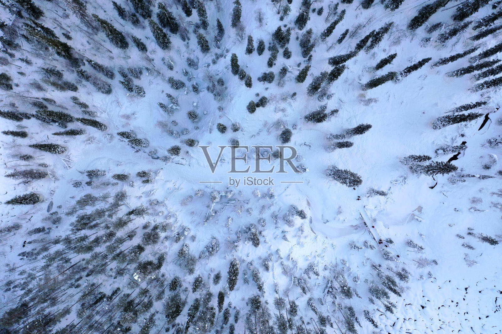 拉普兰河钓鱼冰照片摄影图片