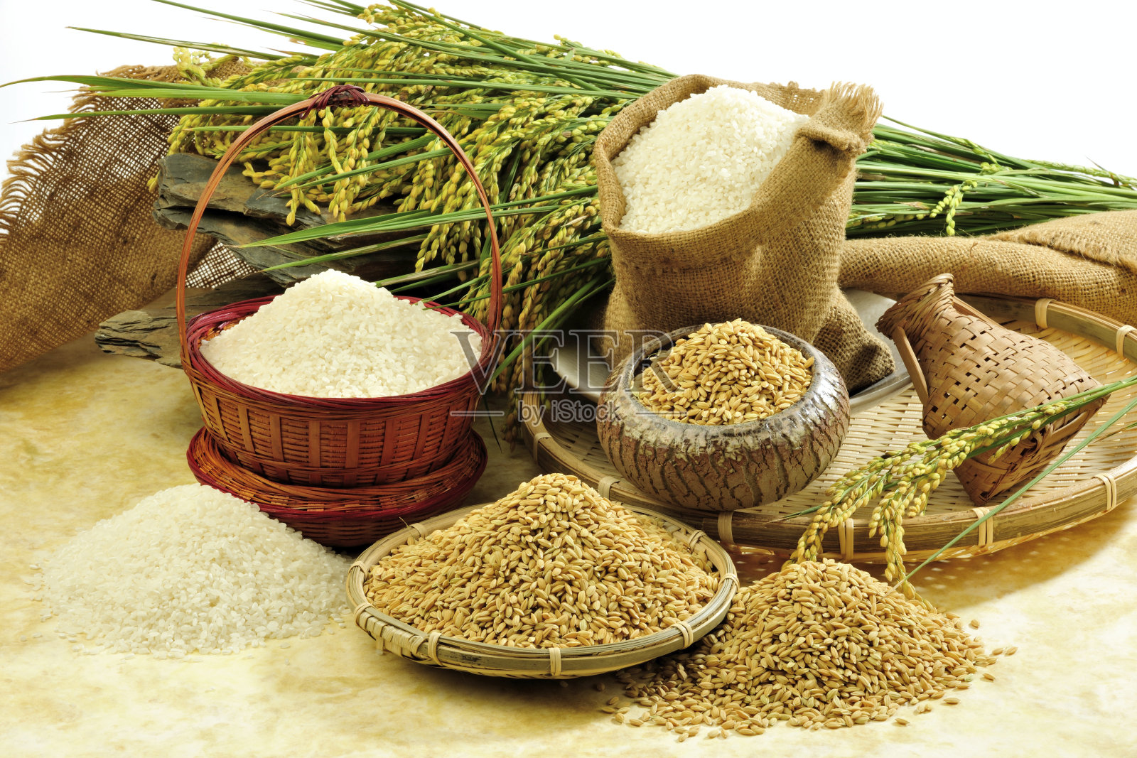 各种谷物的工作室拍摄照片摄影图片