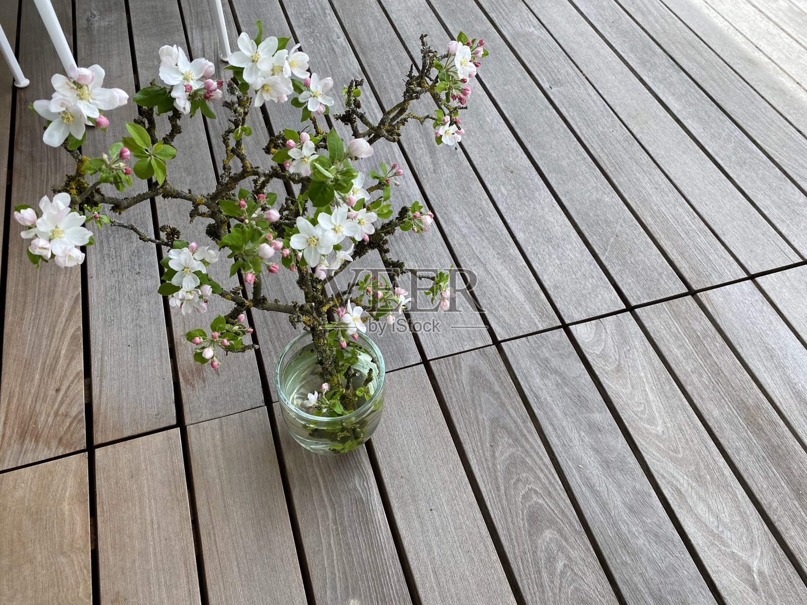 樱花，插在花瓶里的树枝照片摄影图片