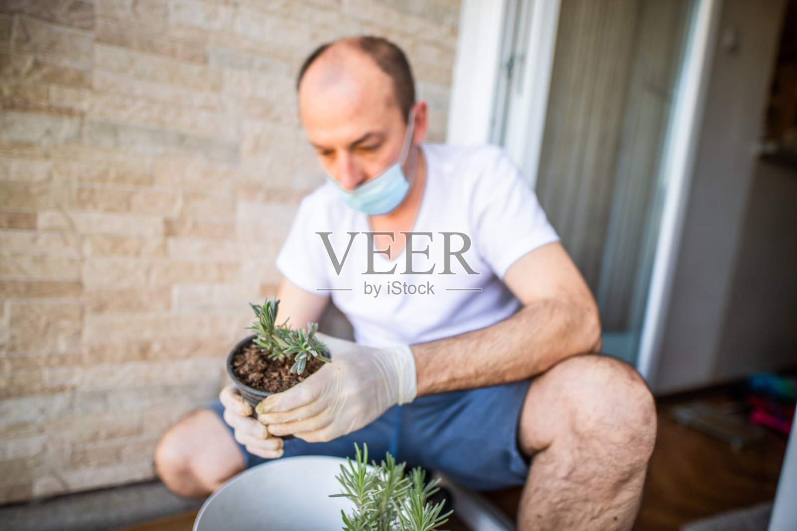 男人在移植花卉。照片摄影图片