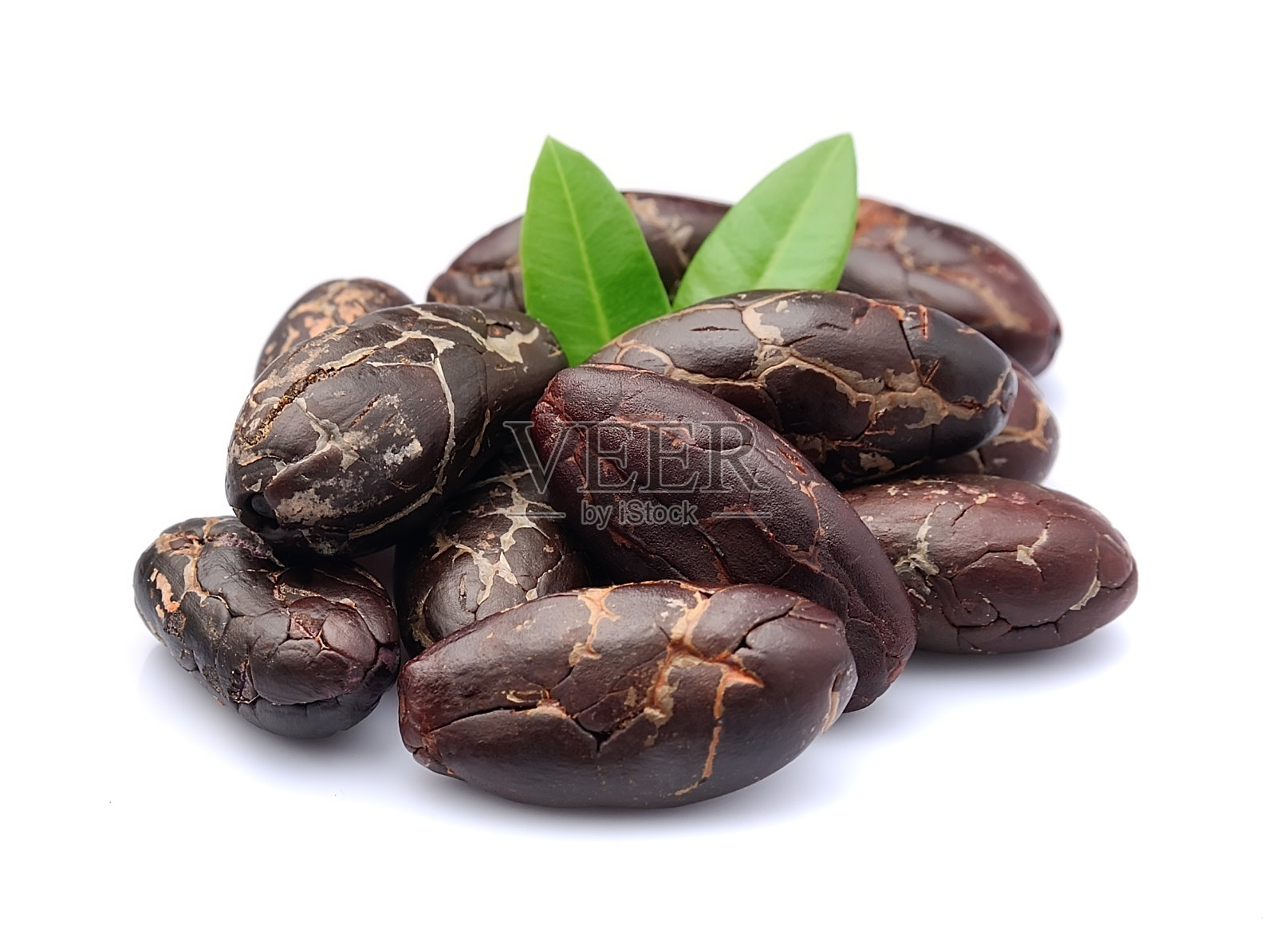 可可豆照片摄影图片