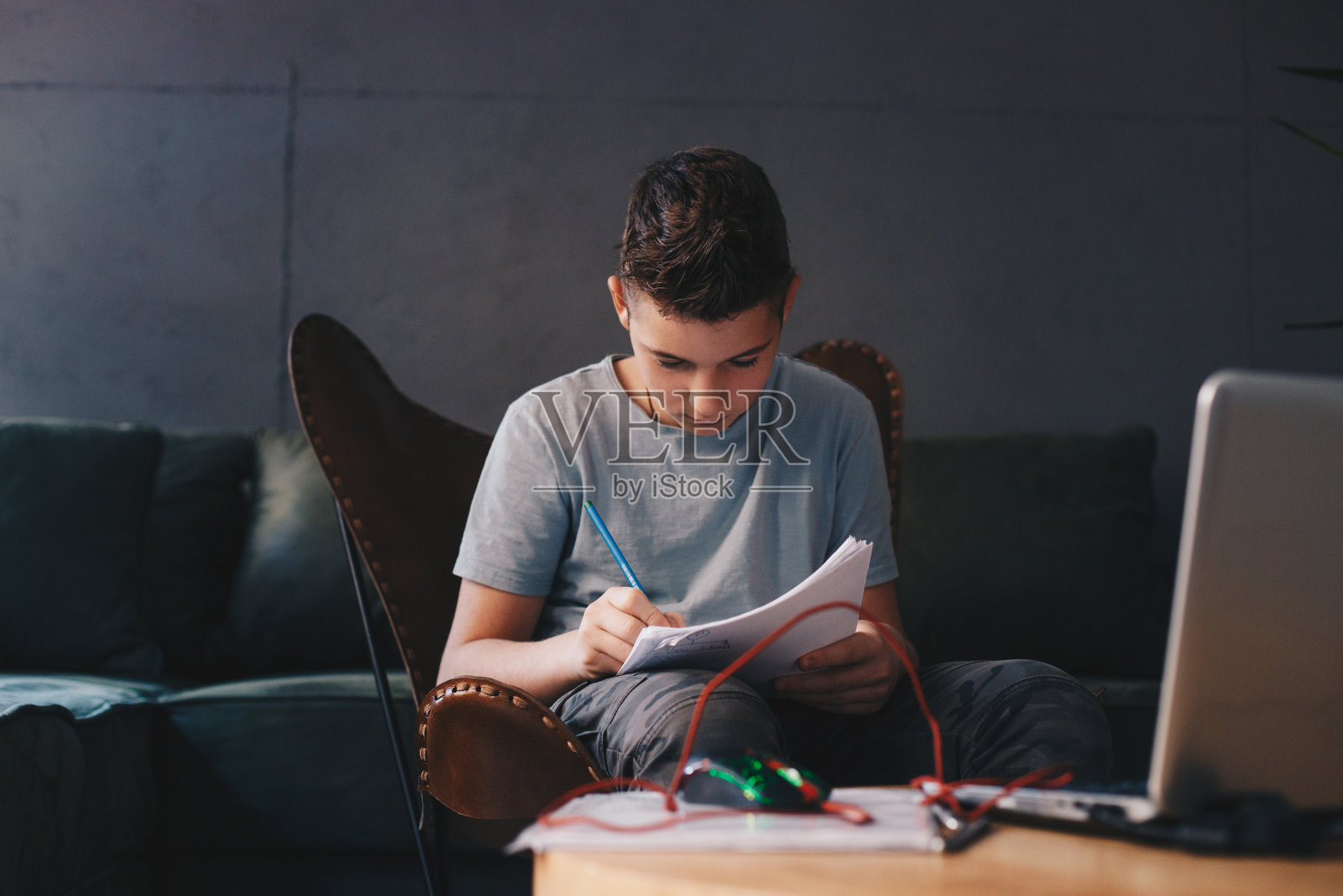 男孩在笔记本电脑上做作业照片摄影图片