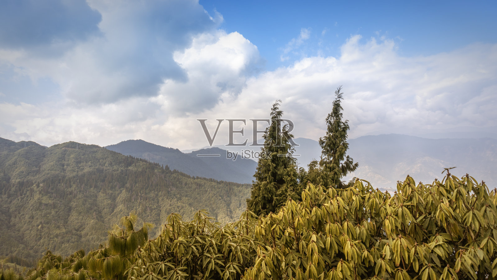 大自然照片摄影图片