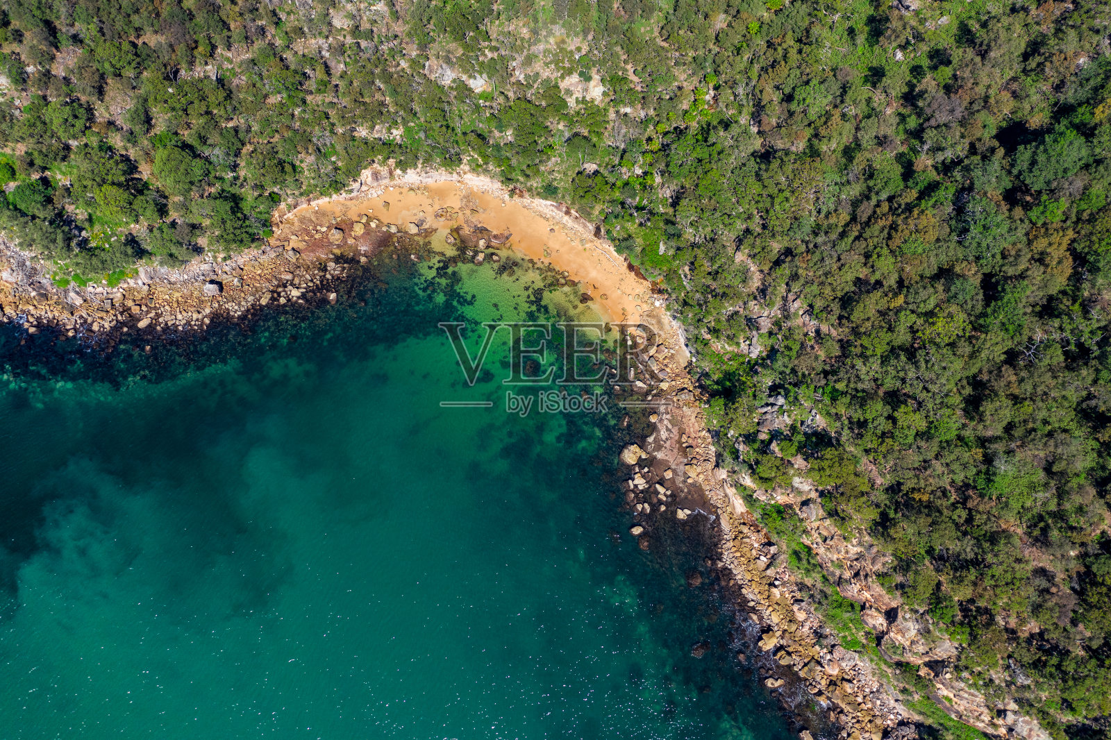 无人机拍摄的绿树森林和岩石海岸照片摄影图片