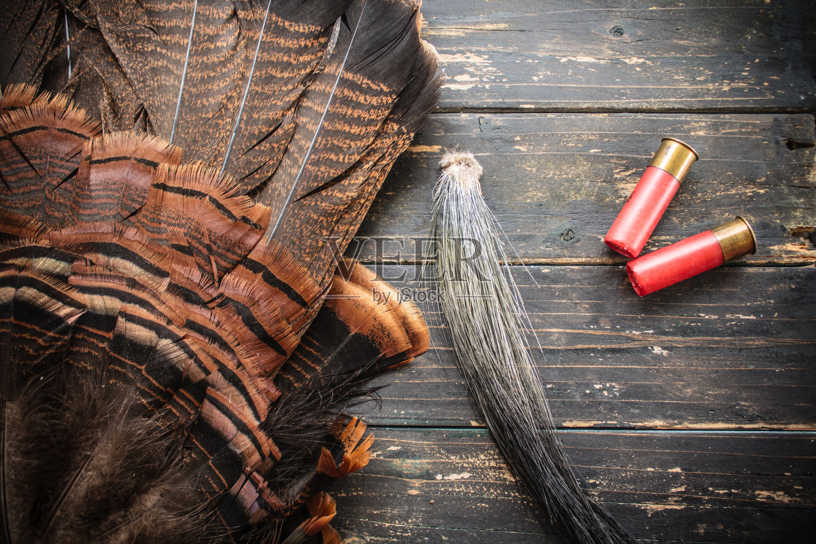 东部野生火鸡狩猎背景照片摄影图片