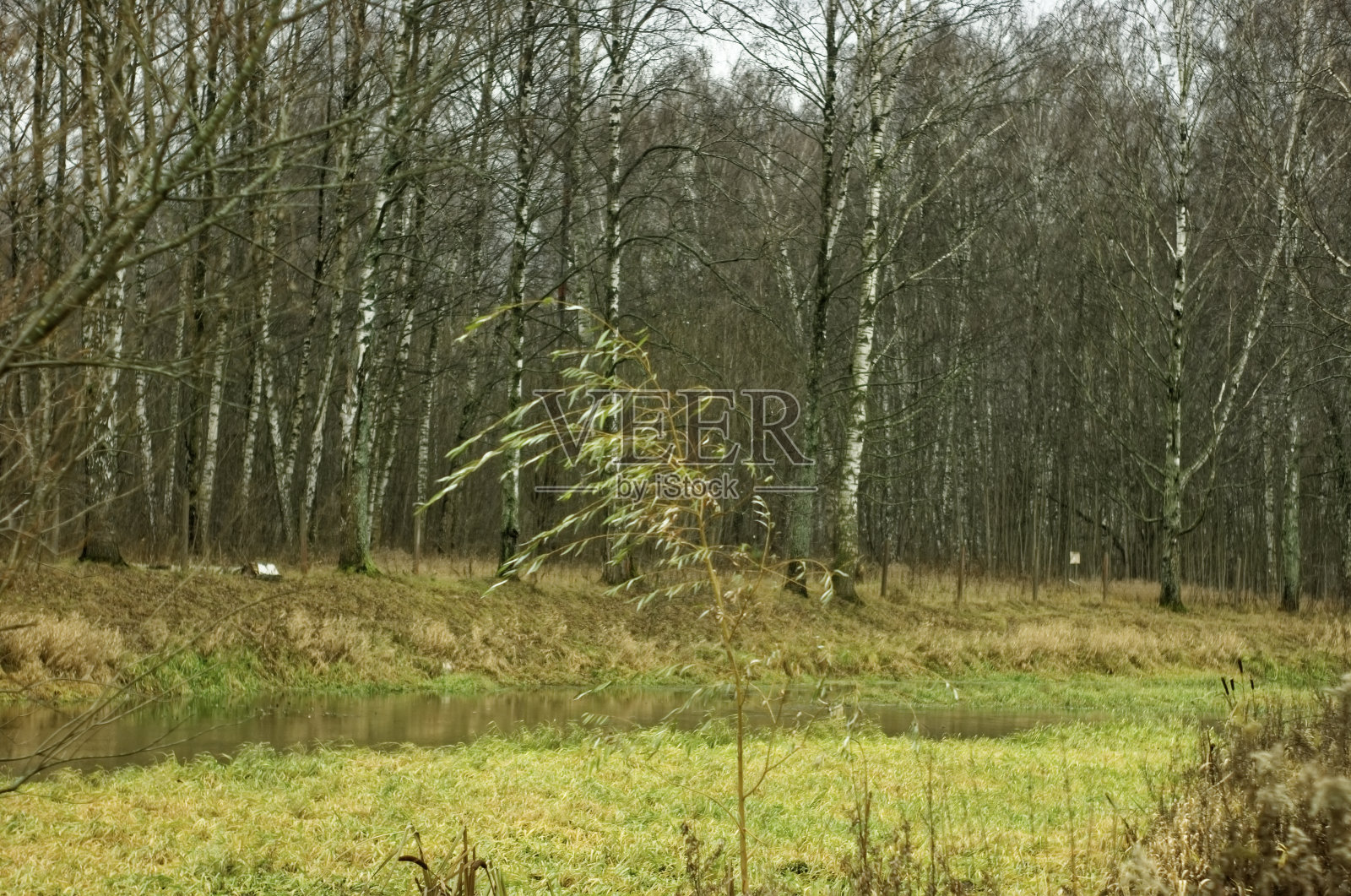 秋天小河的岸边照片摄影图片