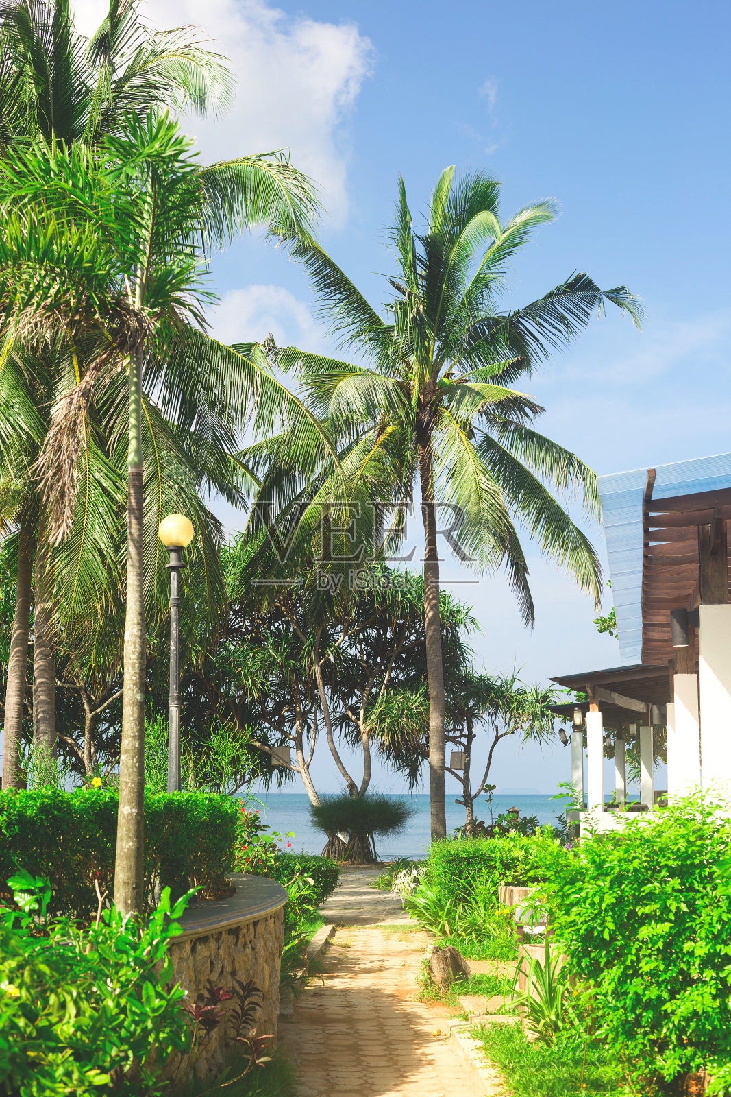 通往海滩的美丽小路在花园里有花和棕榈树照片摄影图片