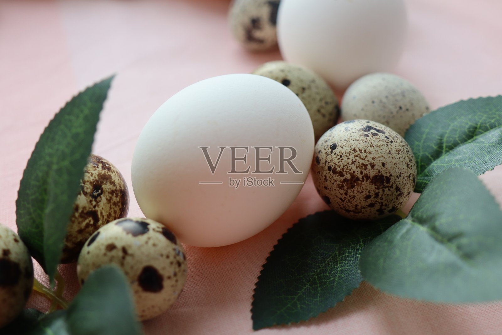 复活节主题构图：树叶、白色鸡蛋和杂色鹌鹑蛋。 选择性聚焦。照片摄影图片