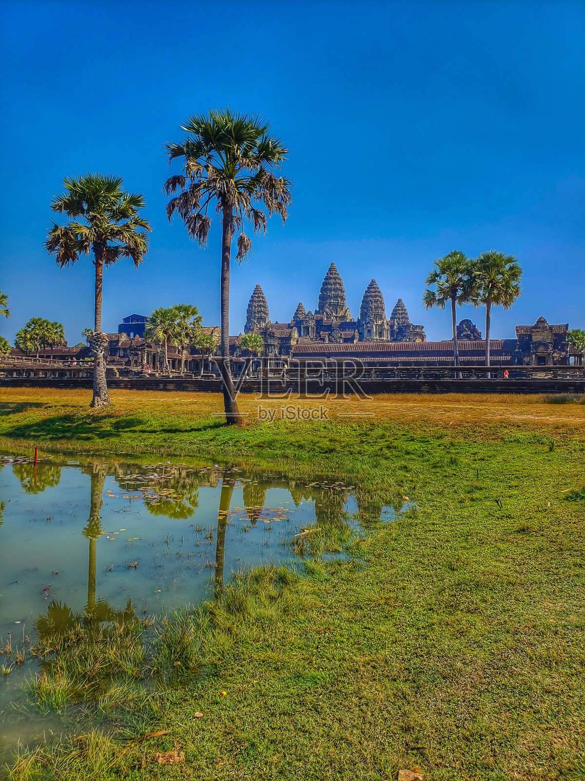 2019年12月29日，柬埔寨暹粒:吴哥窟寺庙水棕榈照片摄影图片