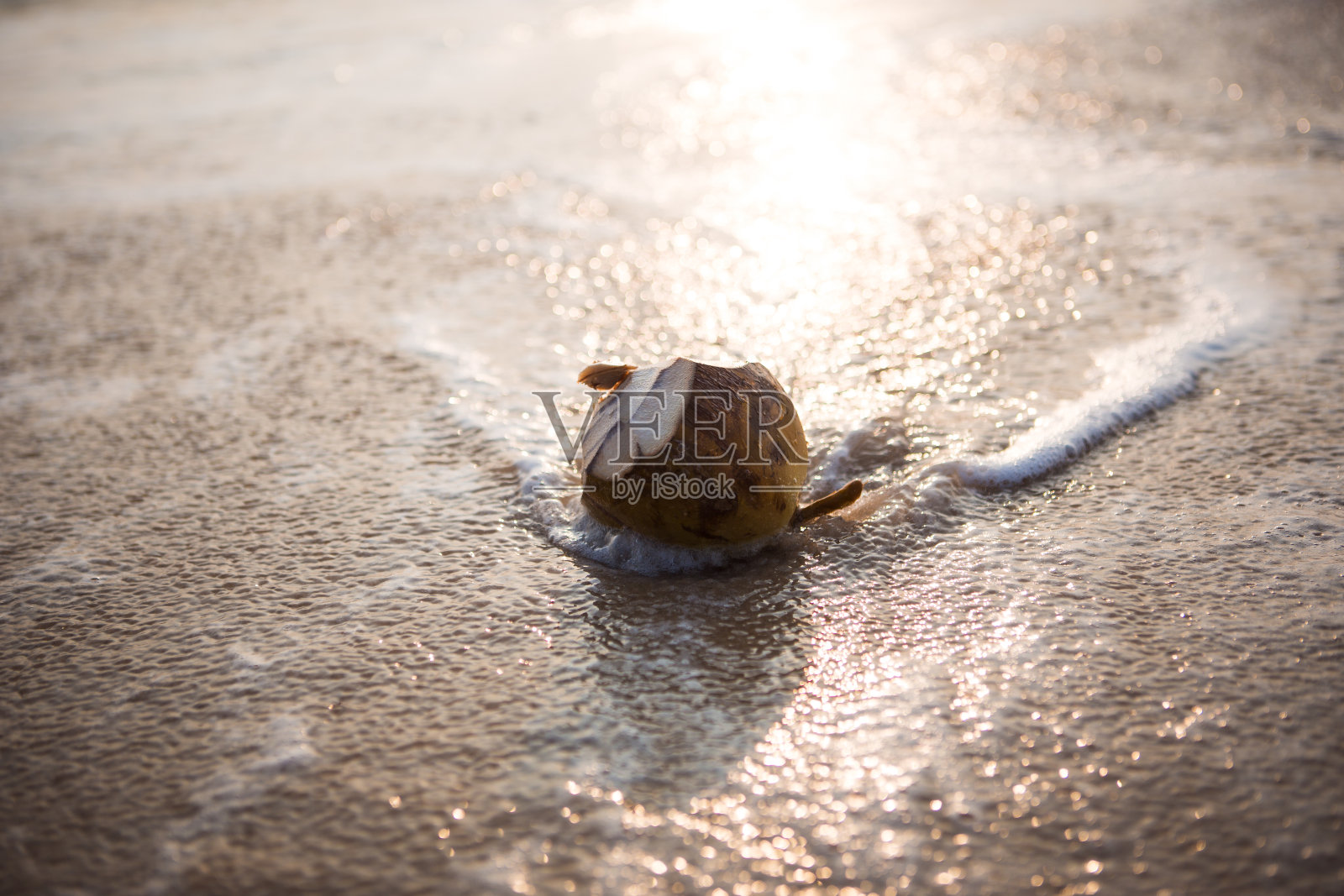 在夕阳下的沙滩上，在透明的海浪中喝着绿色的椰子。照片摄影图片
