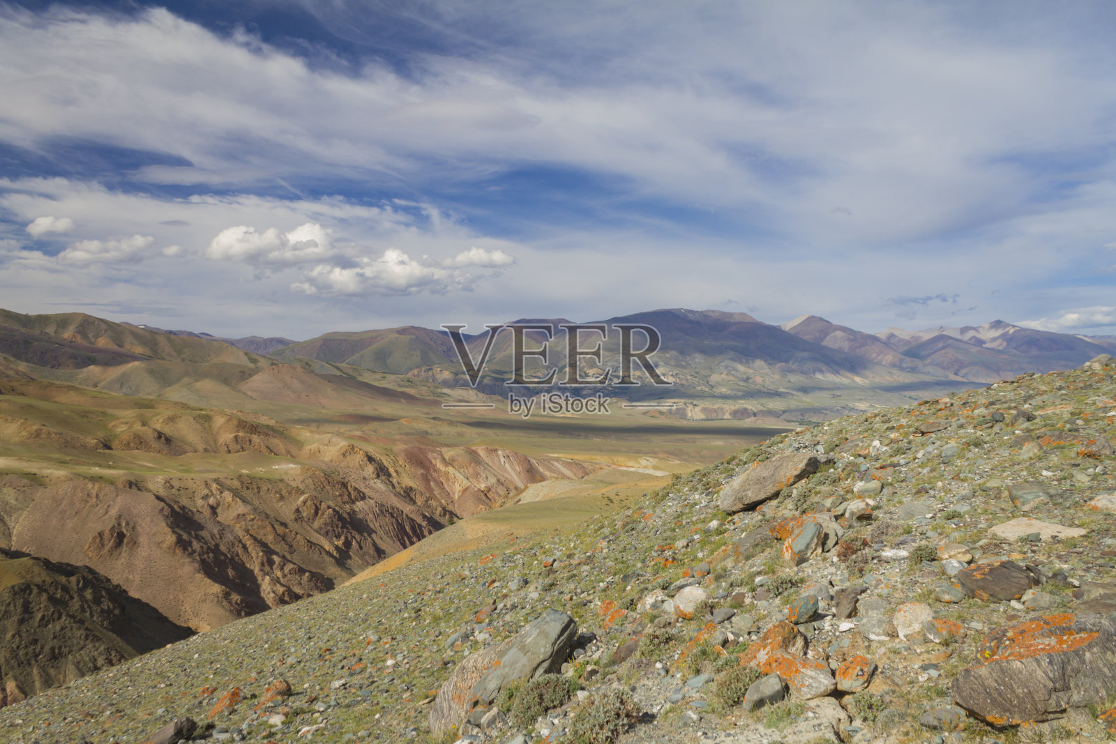 阿尔泰山谷的全景。夏天的时间。照片摄影图片