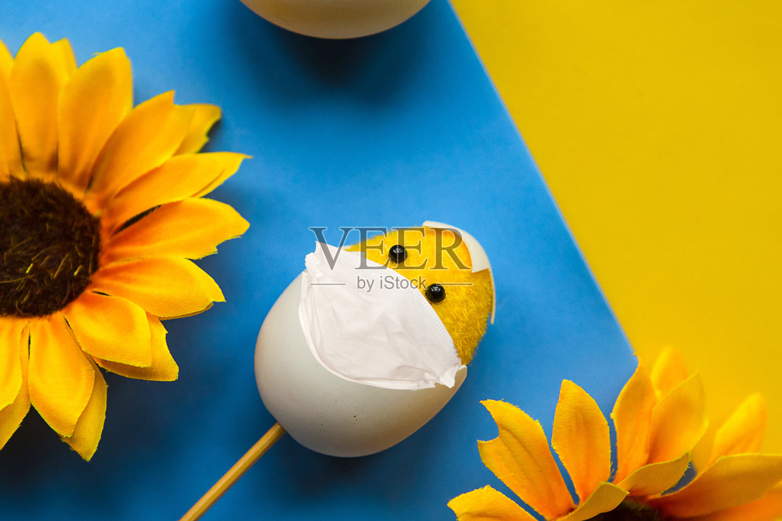 医用面具上的玩具鸡，彩色背景。Covid19概念。2020年复活节的概念照片摄影图片