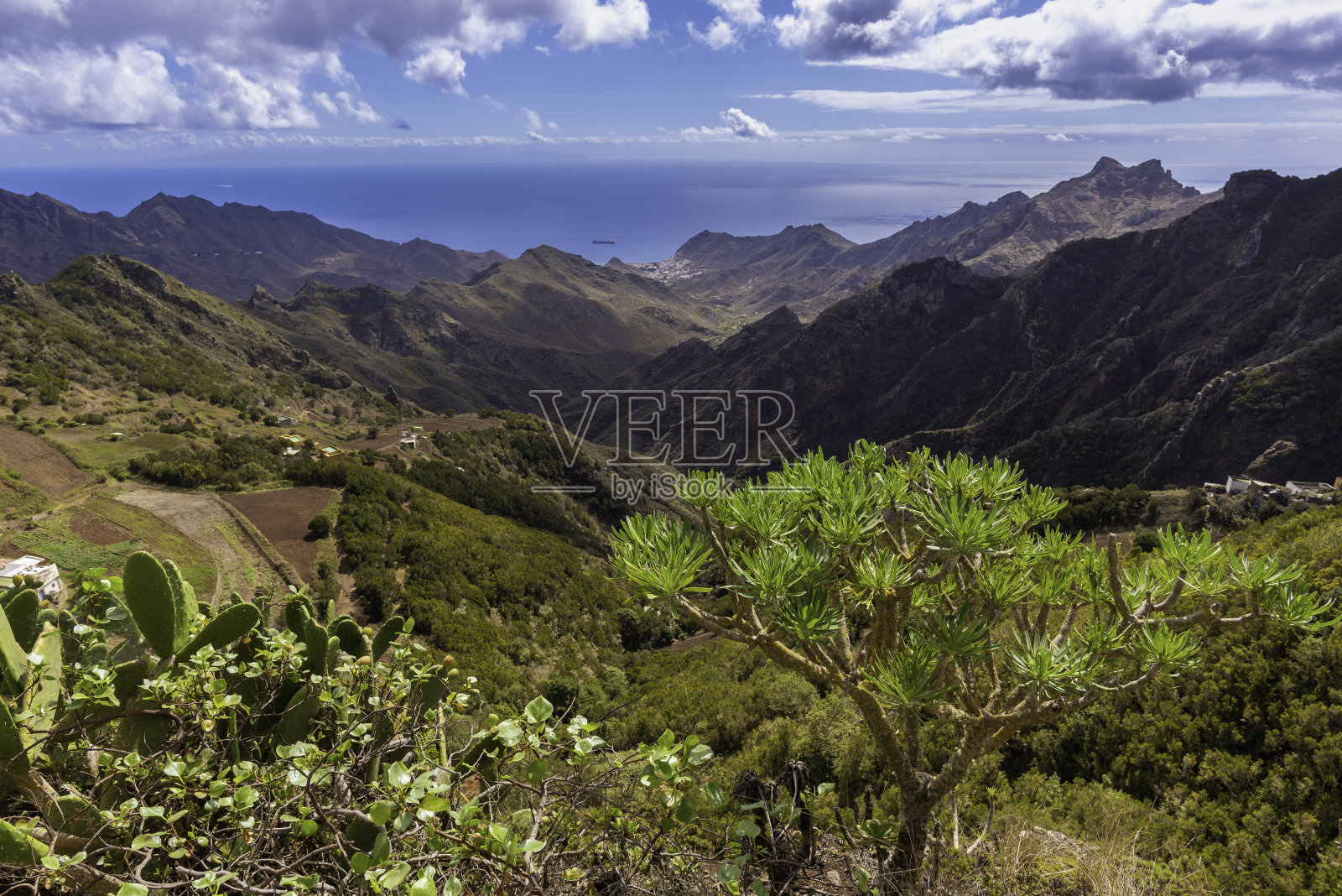 阿纳加海岸(特内里费，加那利群岛-西班牙)。照片摄影图片