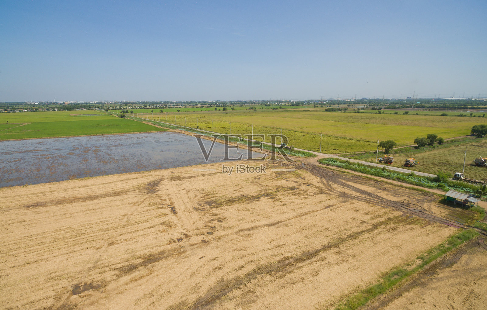 无人机鸟瞰图，以景观绿色格局自然为背景，俯视图稻田照片摄影图片