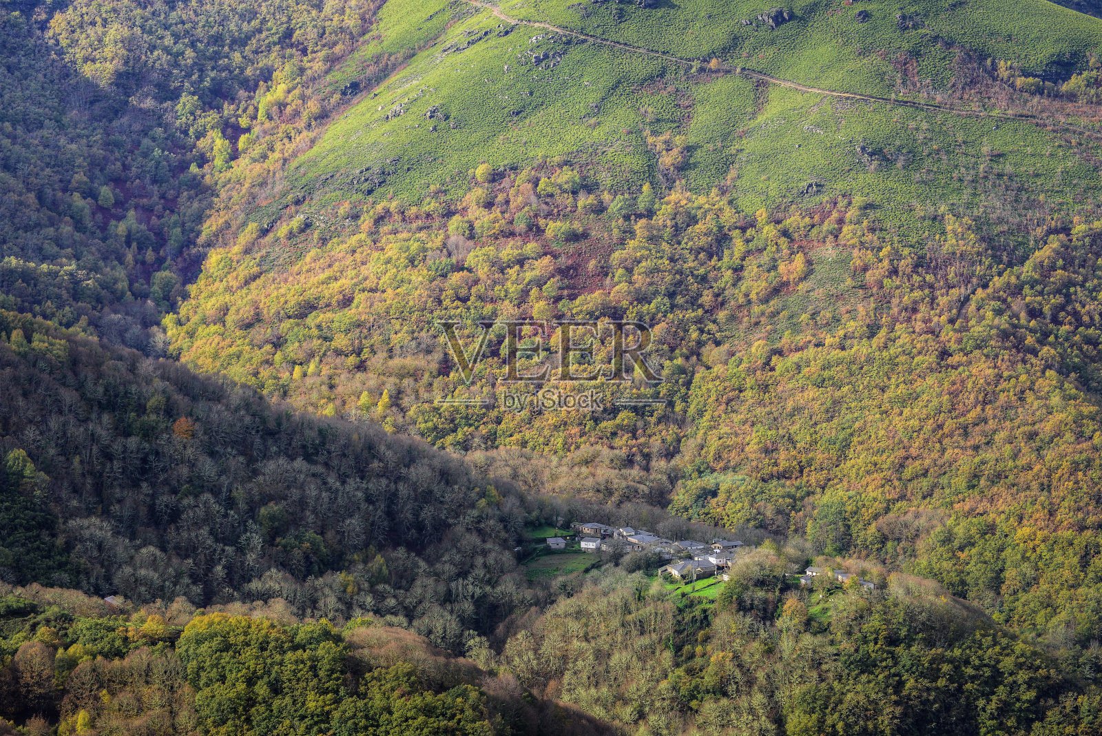 在森林中的空地上的小村庄照片摄影图片