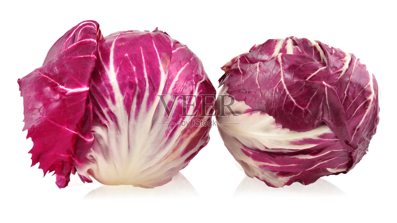 孤立在白色背景上的红卷心菜照片摄影图片