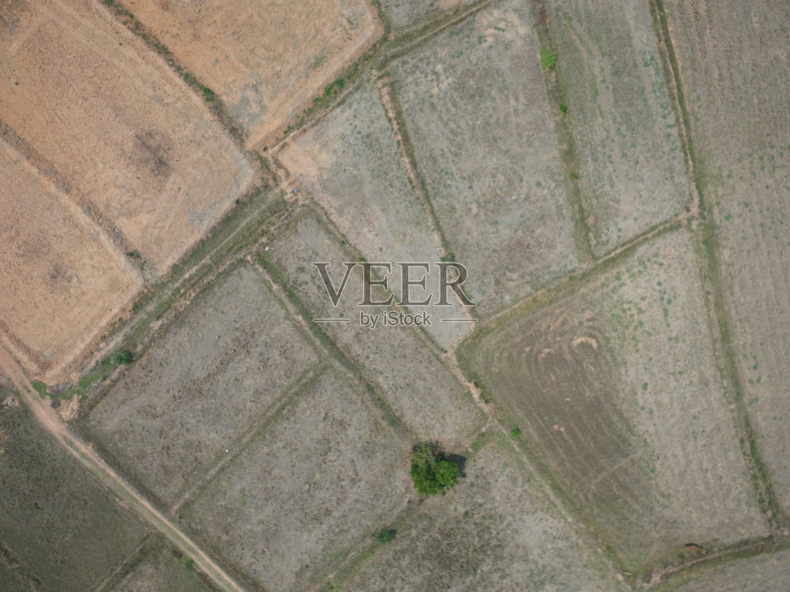 无人机无人机摄影俯视图农村农场泰国森林树照片摄影图片