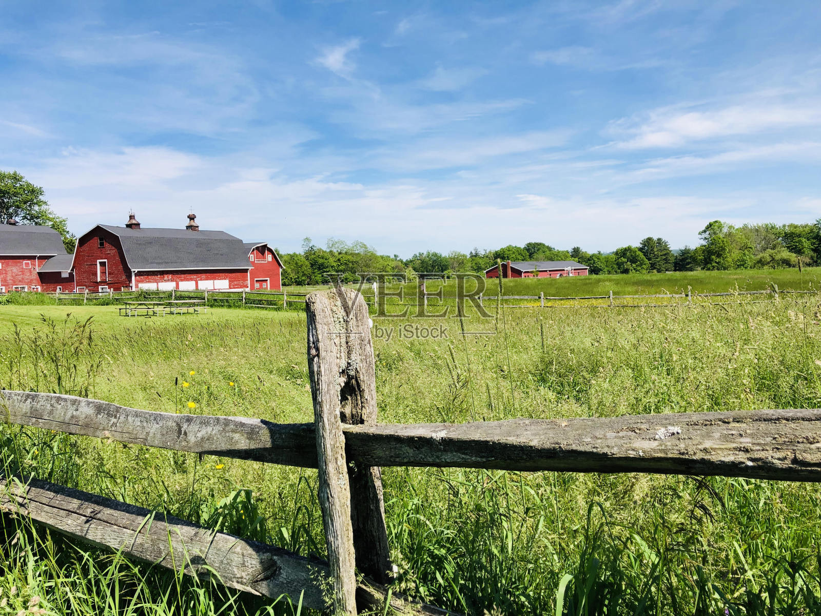 草地照片摄影图片
