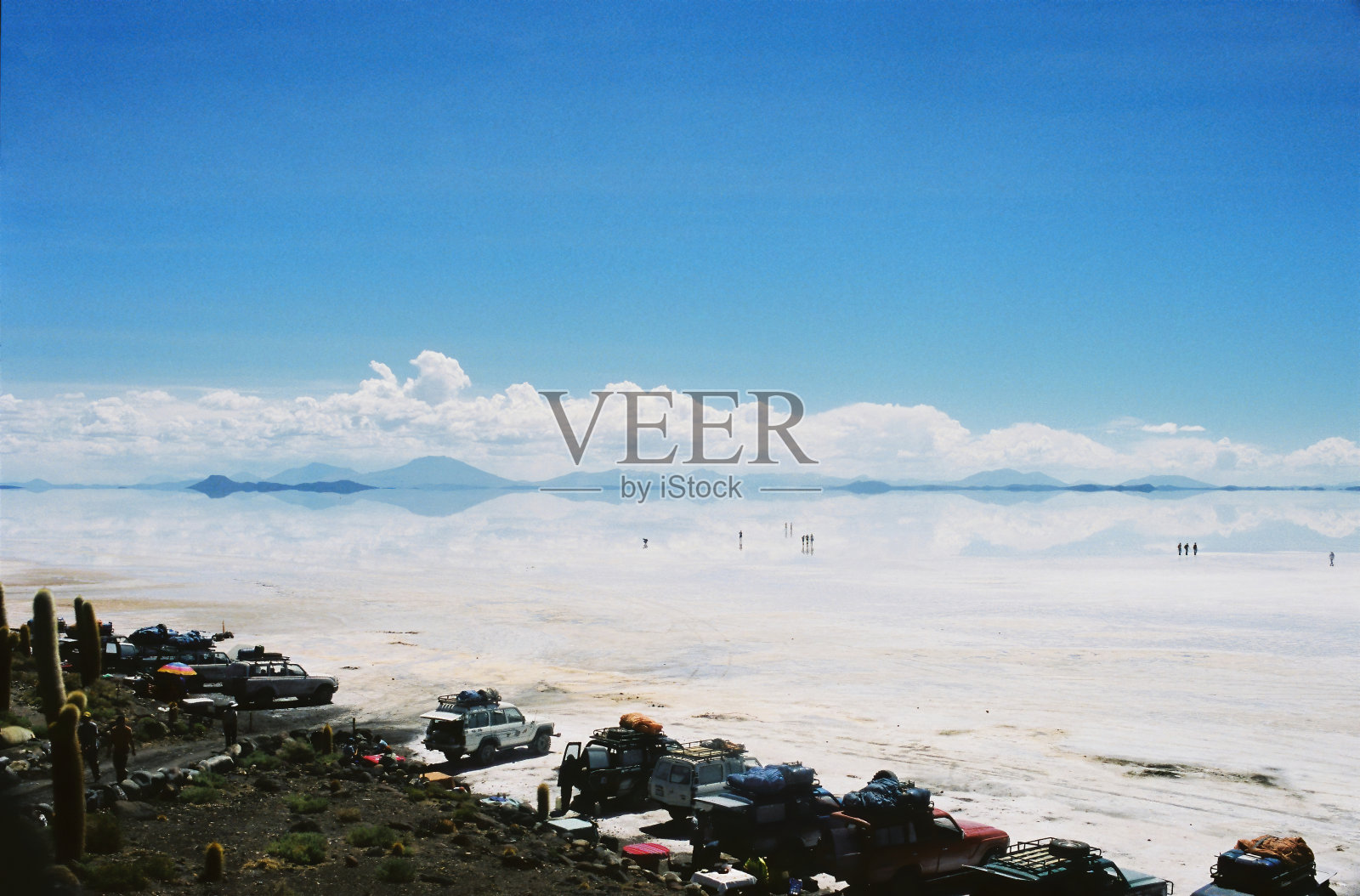 乌尤尼仙人掌岛照片摄影图片