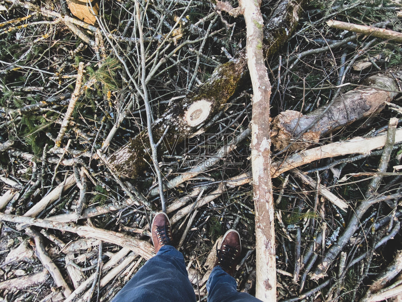 人们站在春天的森林里照片摄影图片