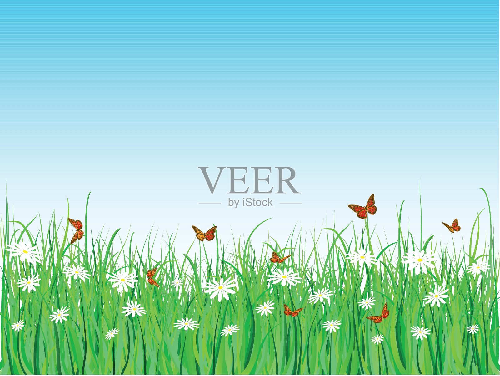 蝴蝶雏菊插画图片素材