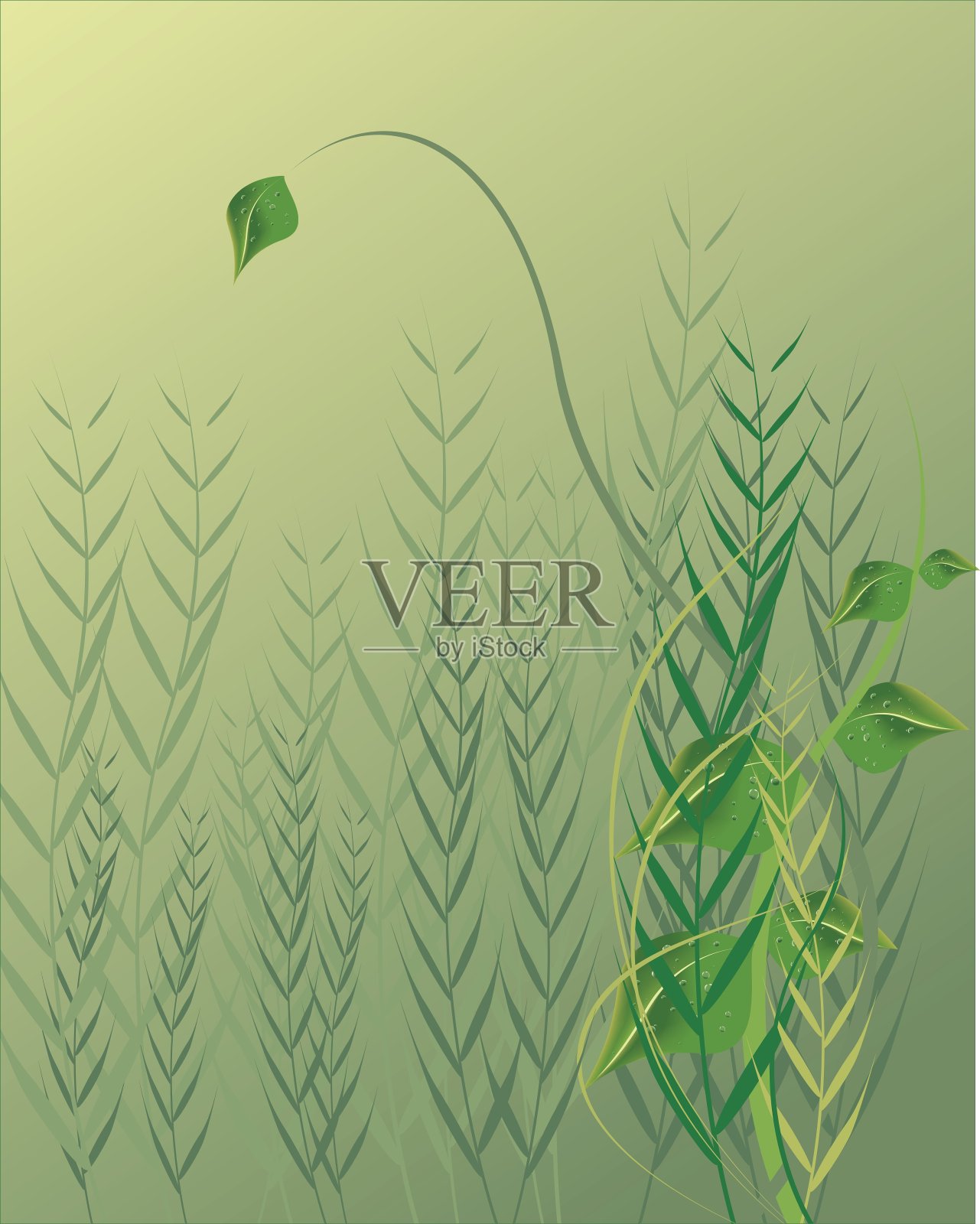 滴在叶子插画图片素材