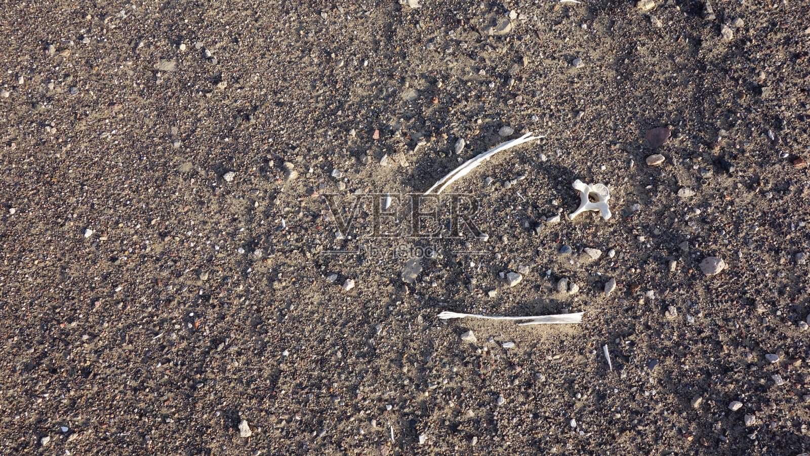 肖奇利亚公墓，秘鲁纳斯卡沙漠的墓地照片摄影图片