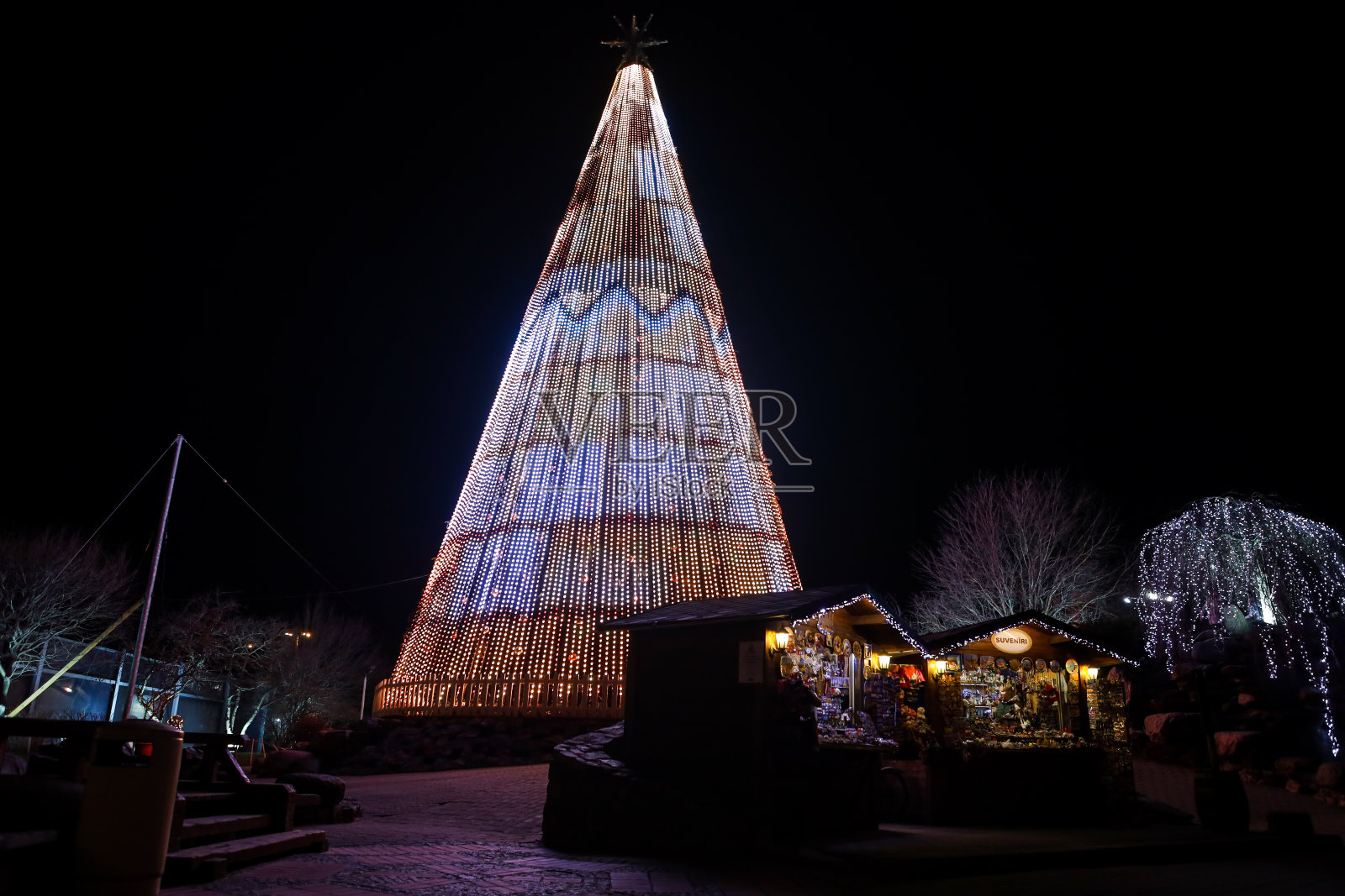 美丽的圣诞树在寒冷的冬天。照片摄影图片