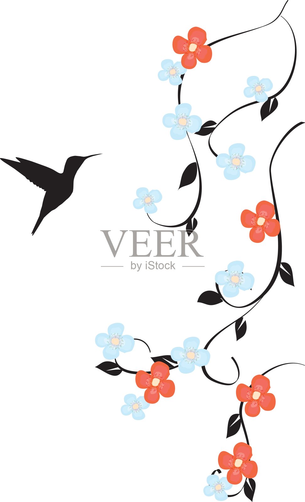 蜂鸟插画图片素材